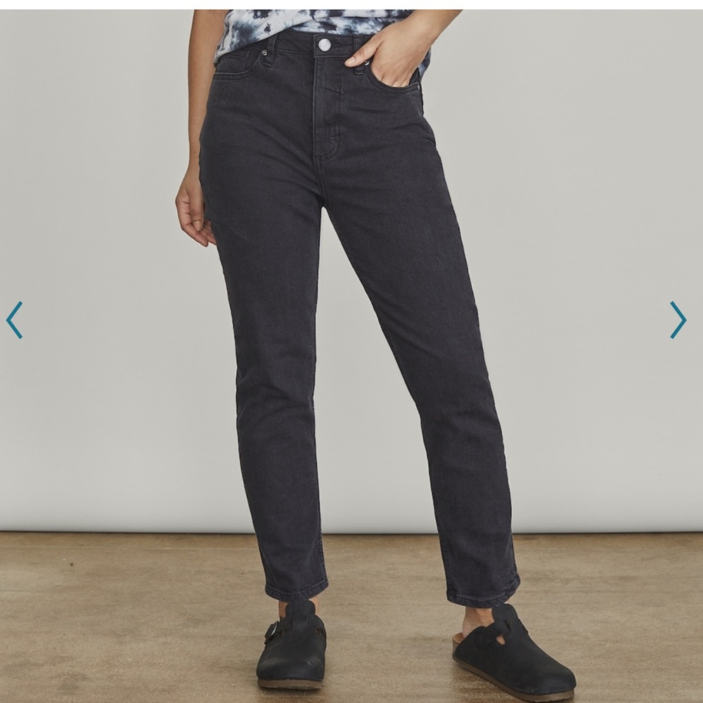 NWOT Elizabeth and James the Vintage Straight